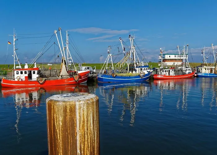 Tatil Evi Schicke Doppelhaushaelfte In Neßmersiel