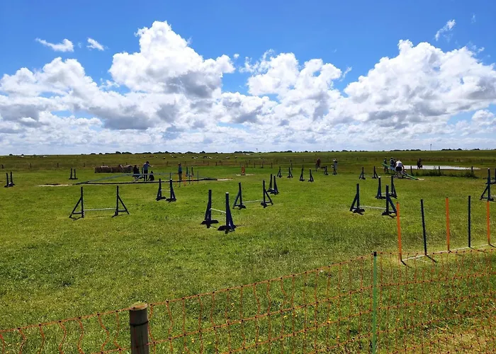 Schicke Doppelhaushaelfte In Tatil Evi